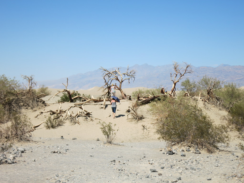 19.Death Valley