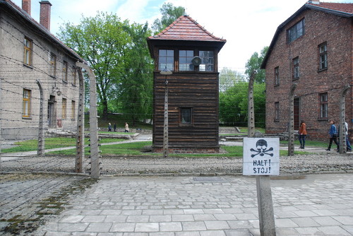 06.Auschwitz